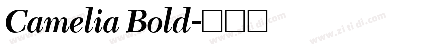 Camelia Bold字体转换 Camelia Bold字体转换